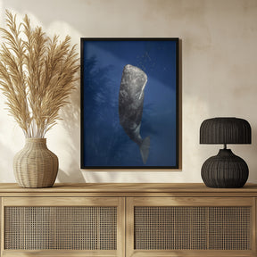 Candle sperm whale Poster