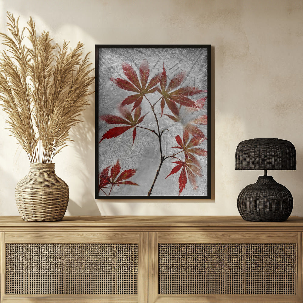 red maple Poster