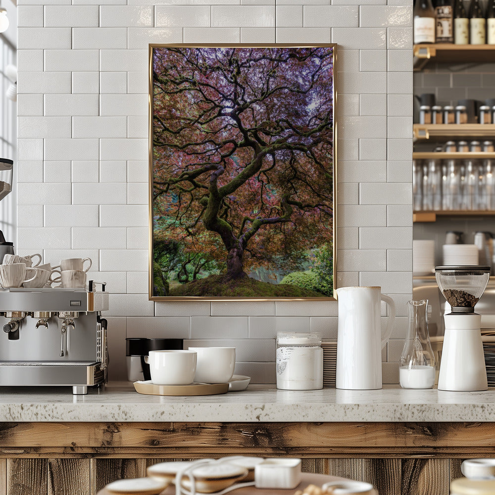 Japanese Maple Tree Poster