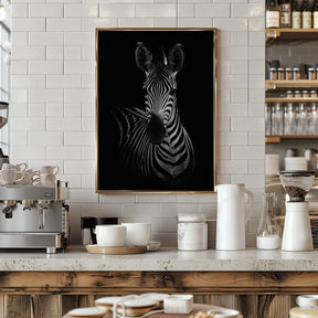 The Zebra Poster