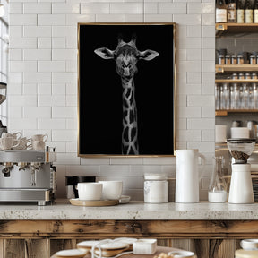 Giraffe Portrait Poster