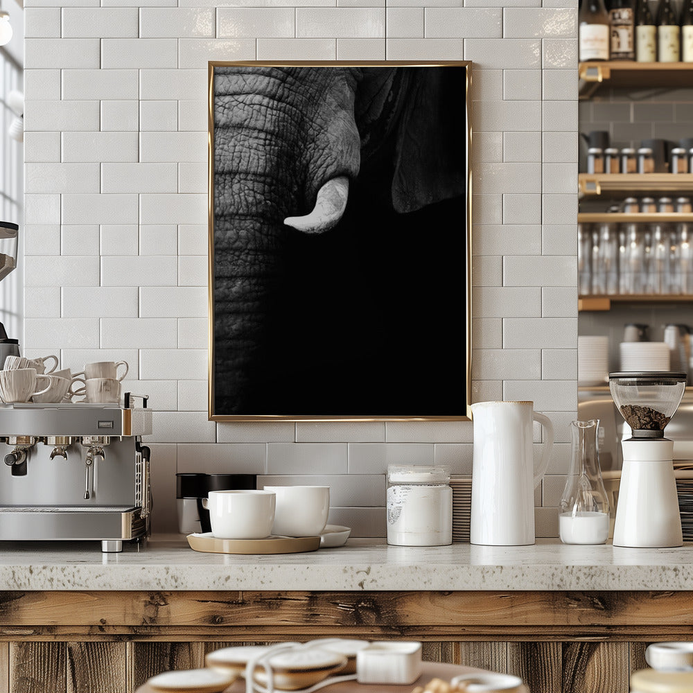 Elephant Portrait Poster