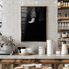 Elephant Portrait Poster