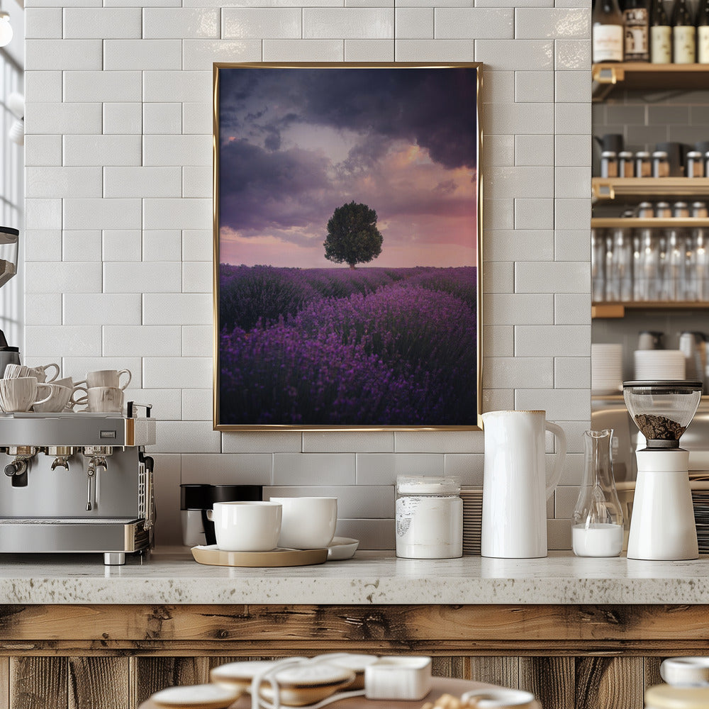 Lavender Fields, Isparta Poster