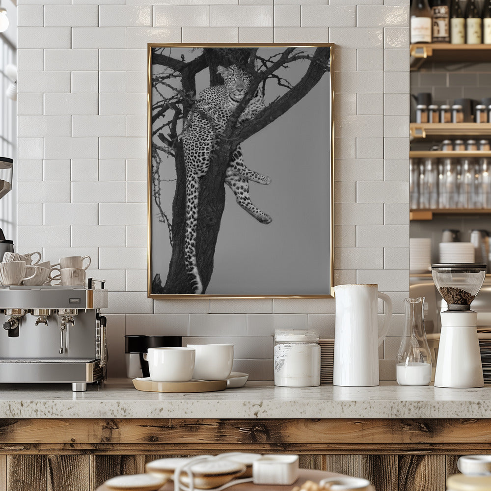 Rest On The Tree Poster