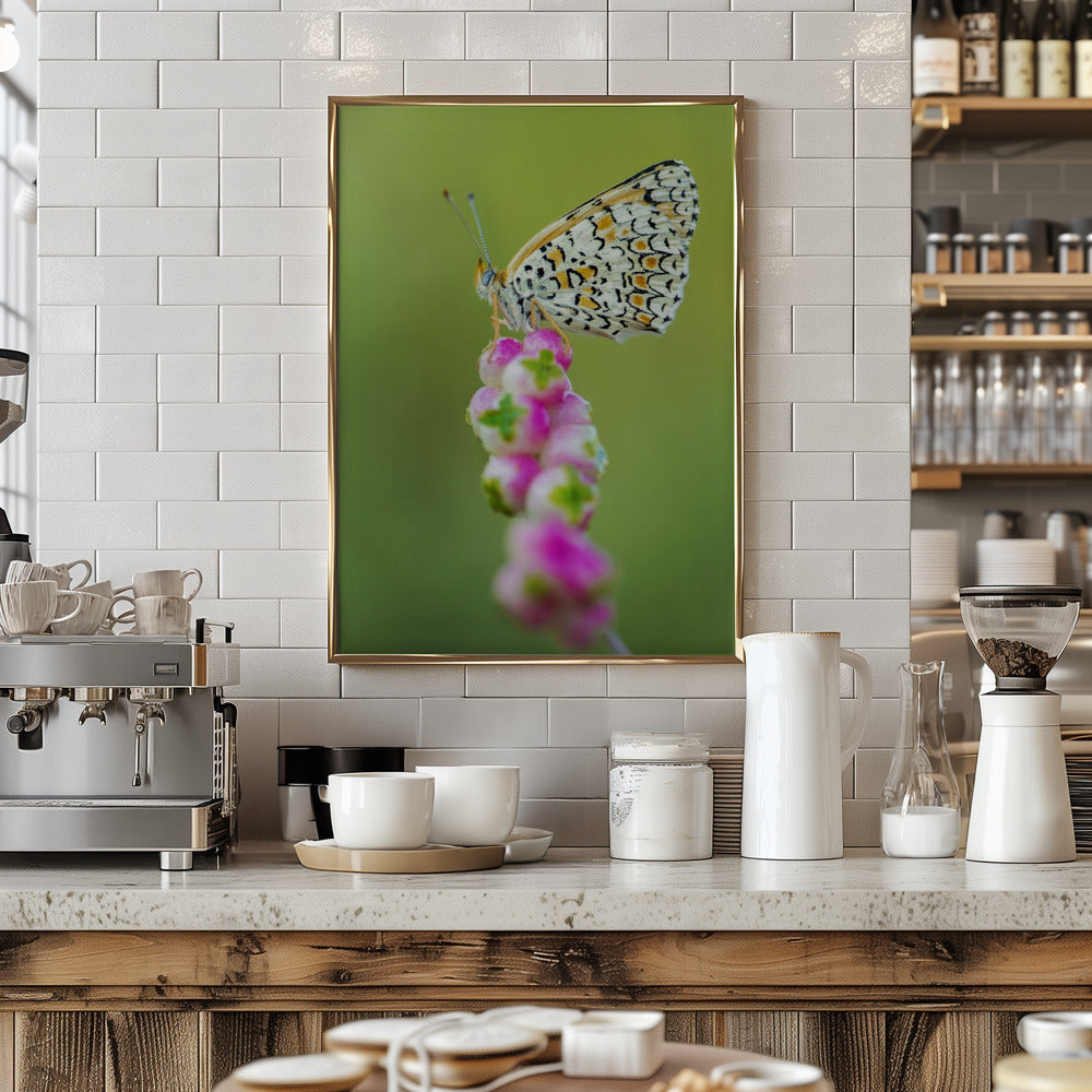 Butterfly at the tip Poster