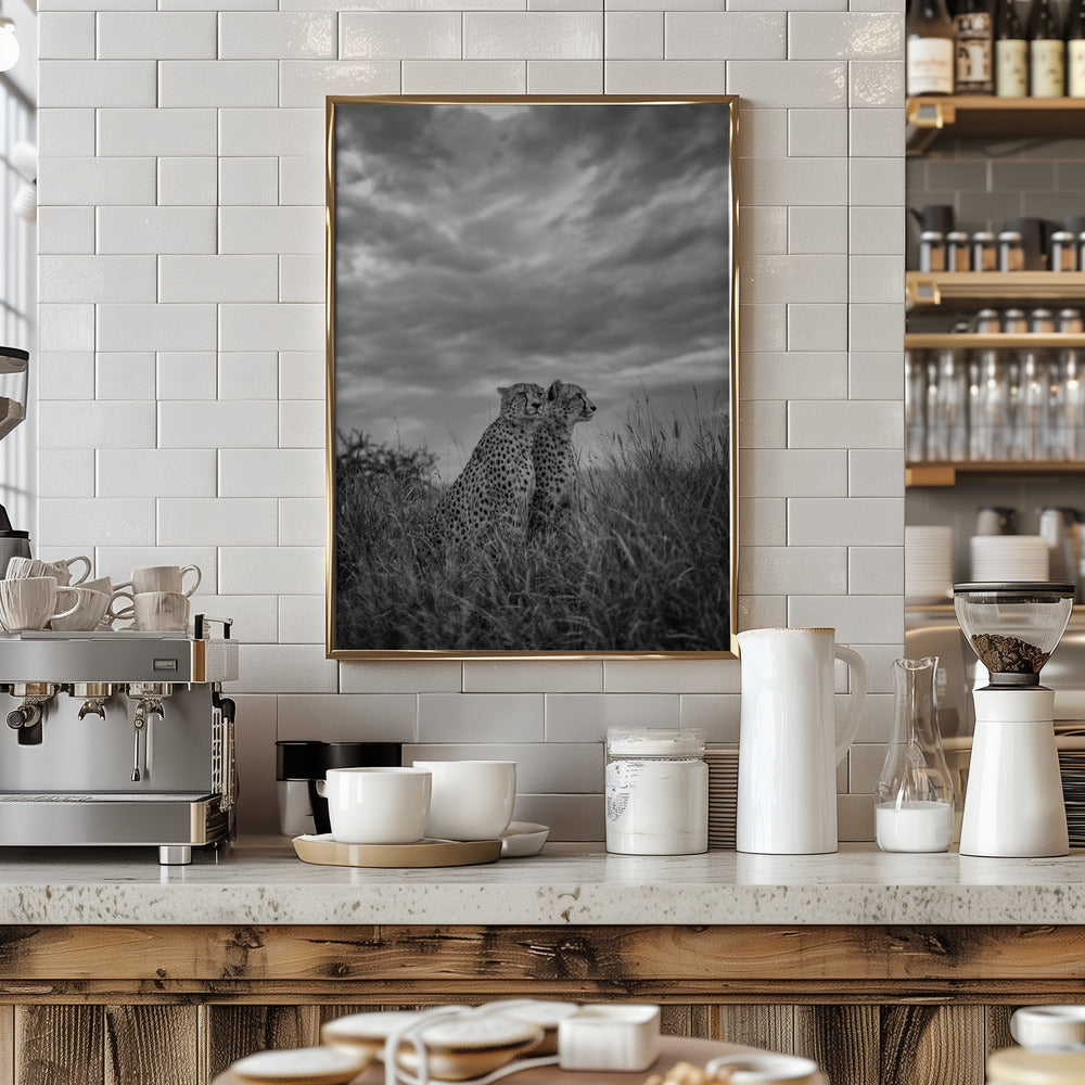 CHEETAH DREAMS Poster