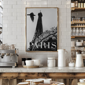 Paris Dove Poster