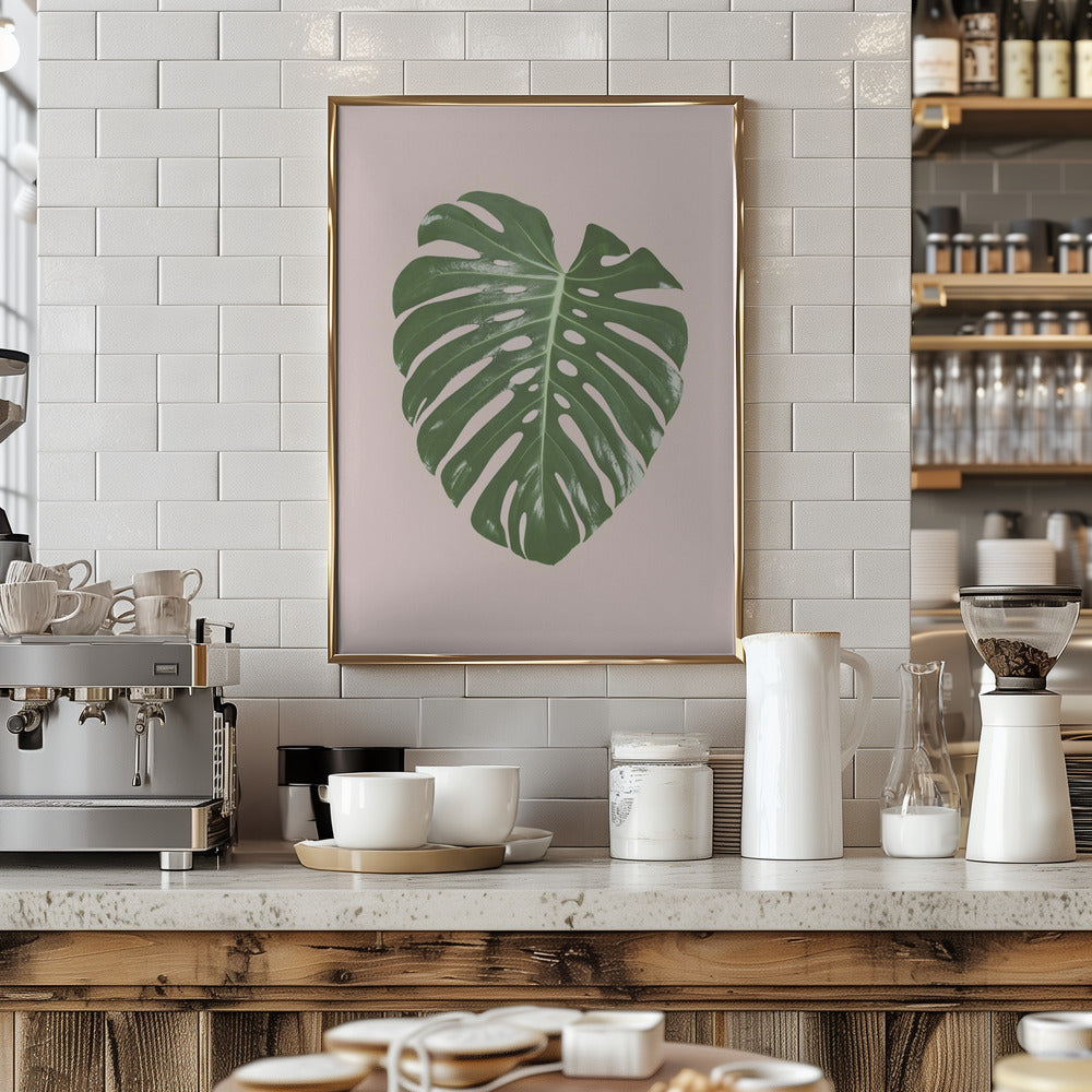 Monstera Leaf Blush Poster