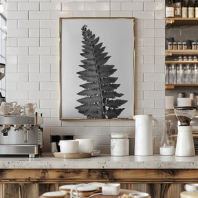 Gray fern leaf Poster