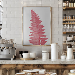 Pink fern leaf Poster