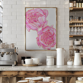 Sally's peonies Poster