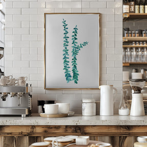 Watercolor eucalyptus branches in teal Poster