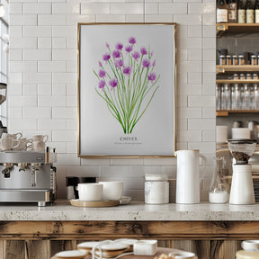 Chives I Poster