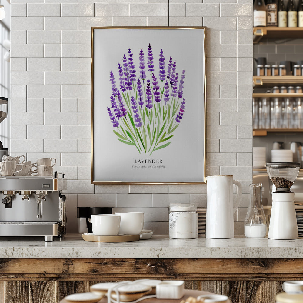 Lavender I Poster