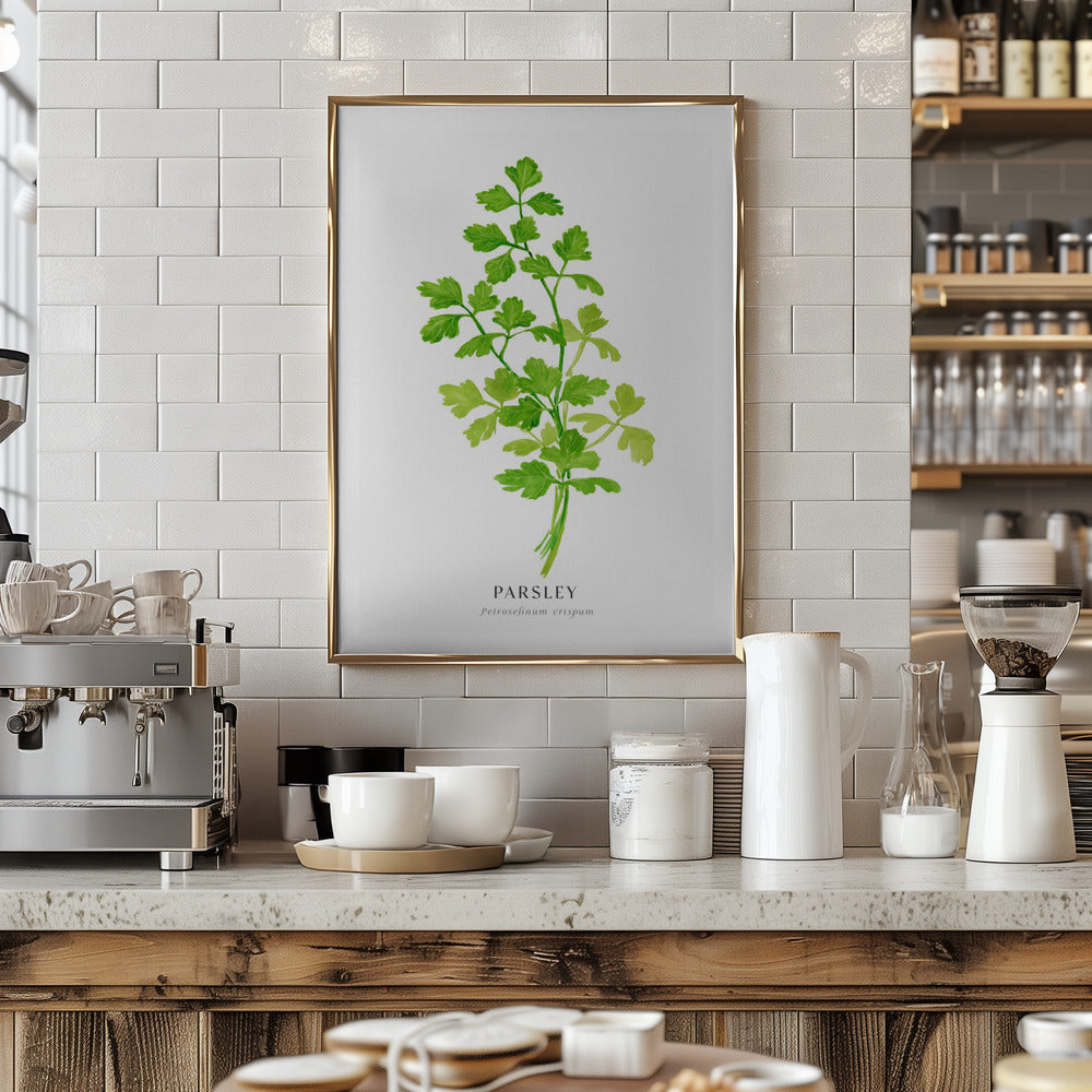 Parsley I Poster