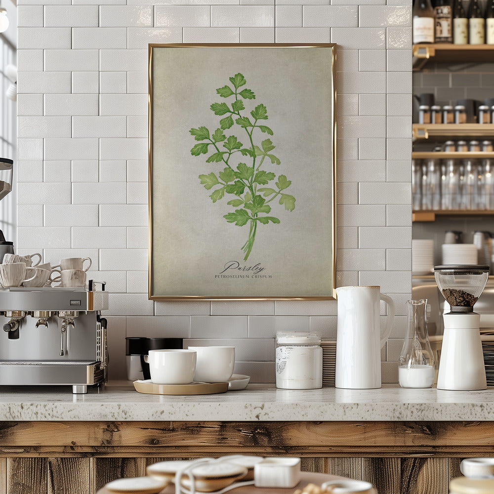 Parsley vintage Poster