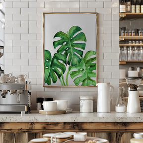 Monstera leaves in loose watercolor Poster