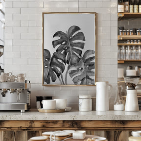 Monstera Leaves In Loose Watercolor Black and White Poster