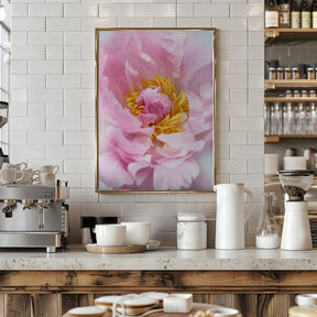 Pink peony I Poster