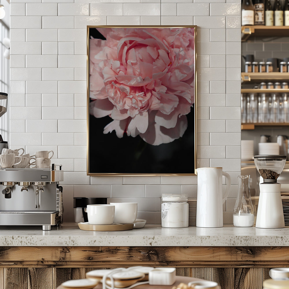 Blush peony V Poster