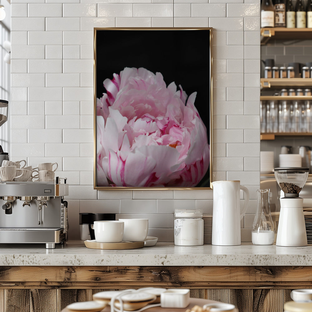 Pink peony VIII Poster