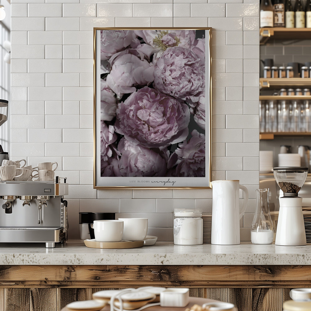 Life blooms everyday peonies Poster