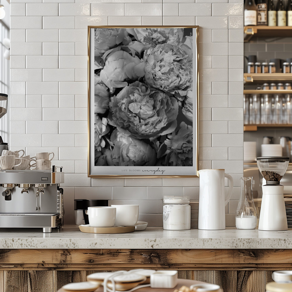 Life blooms everyday peonies bw Poster