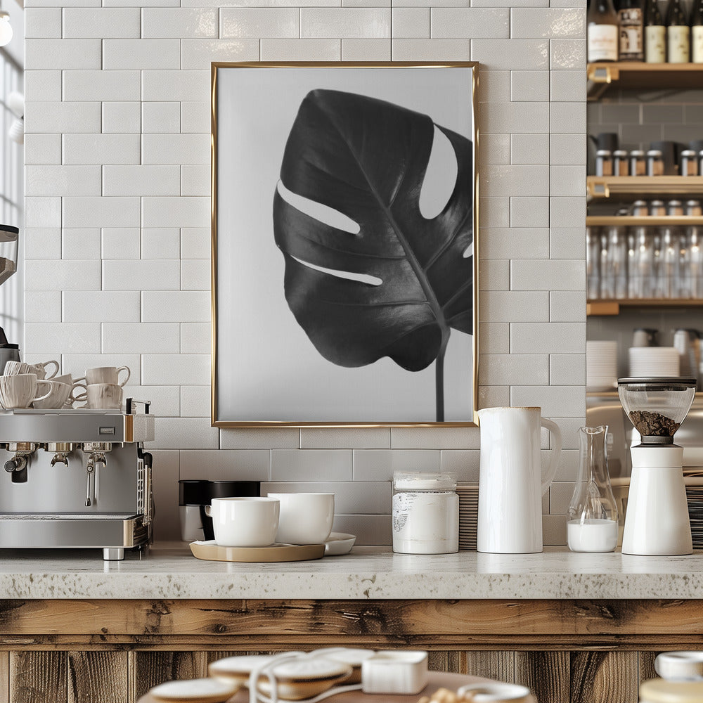 Gray monstera leaf Poster