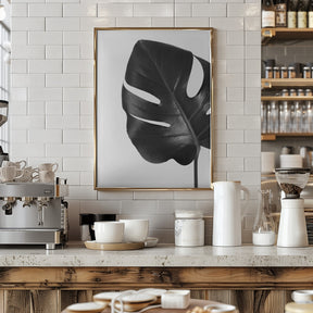 Gray monstera leaf Poster