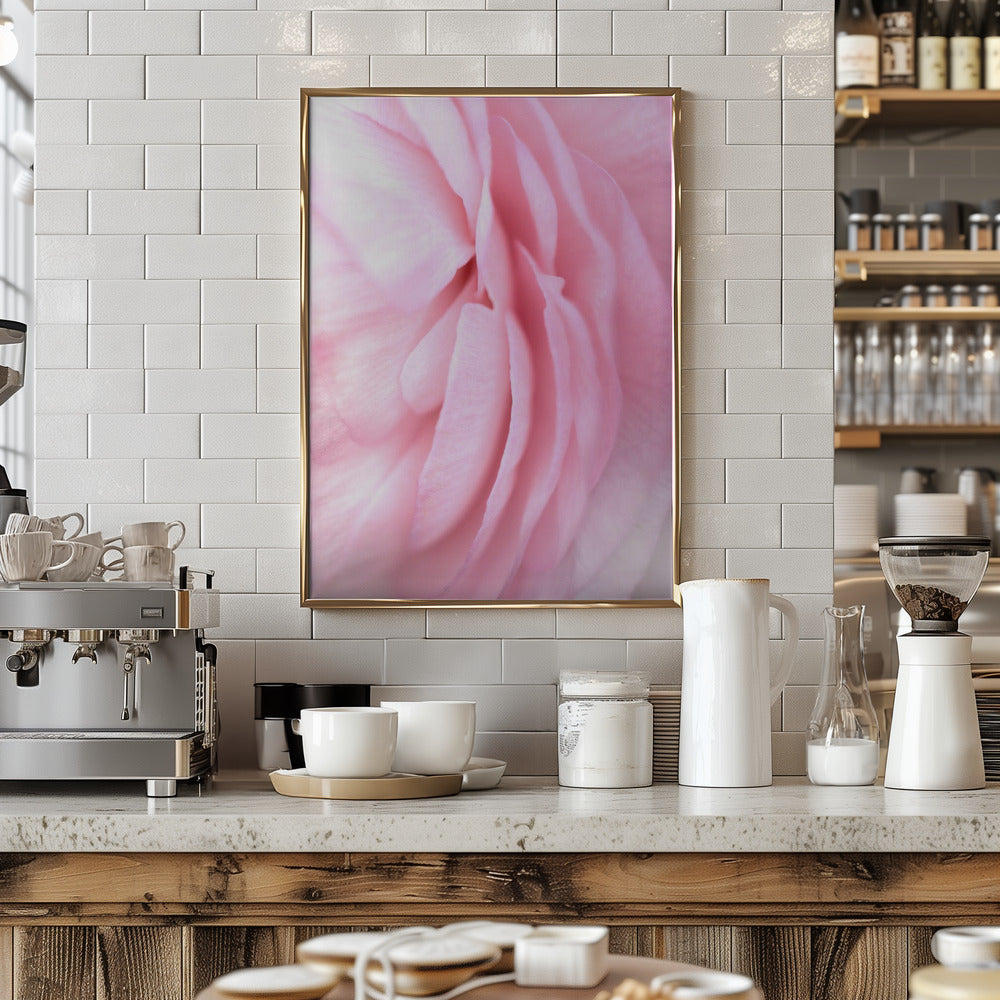 Soft pink petals Poster