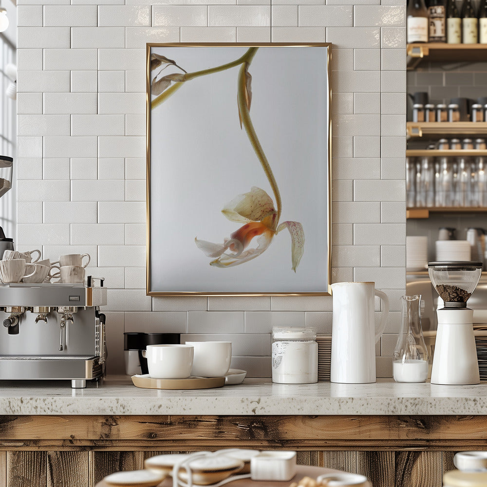 Arch Angle No1 Poster