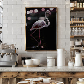 Dancing Flamingo Poster