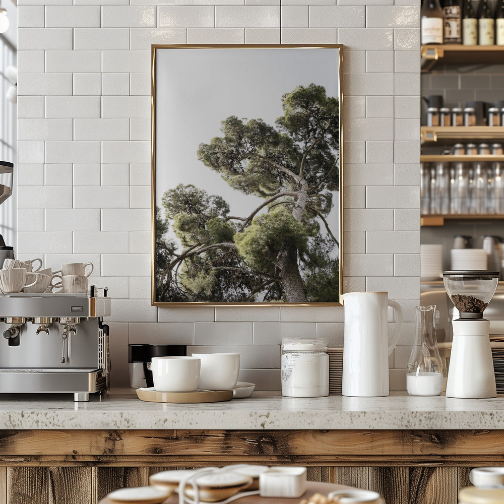 Japanese Garden 01 Poster