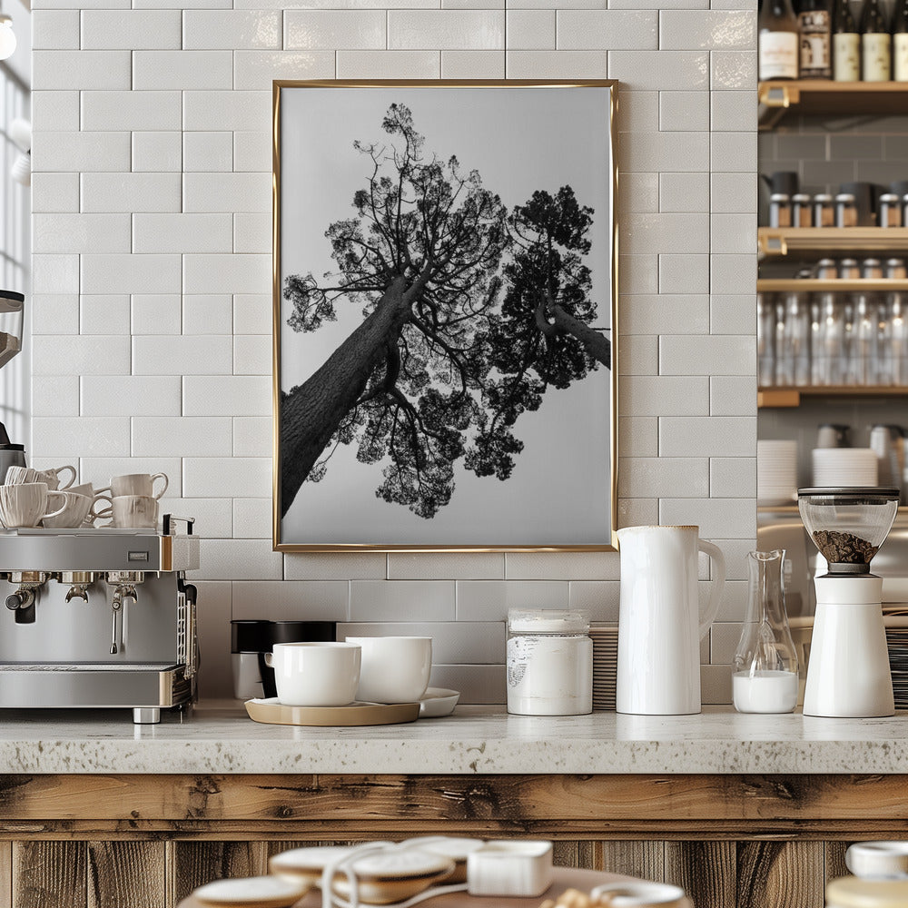 Japanese Garden 02 Poster