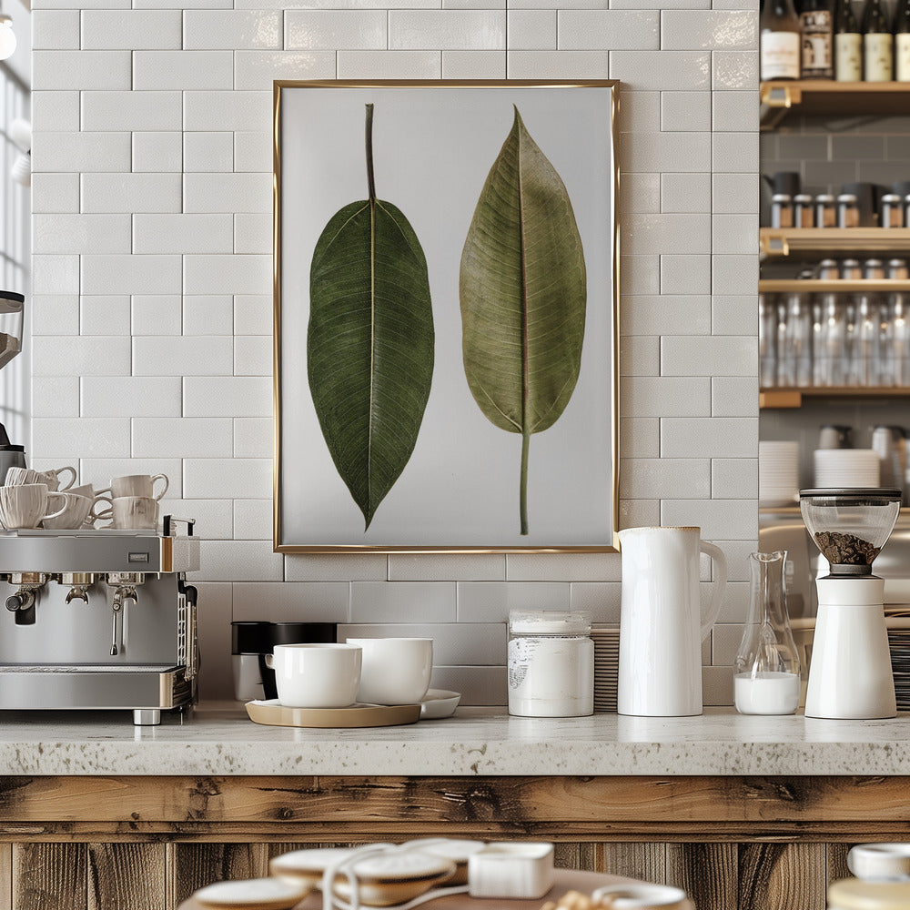 Leaf Study 05 Poster