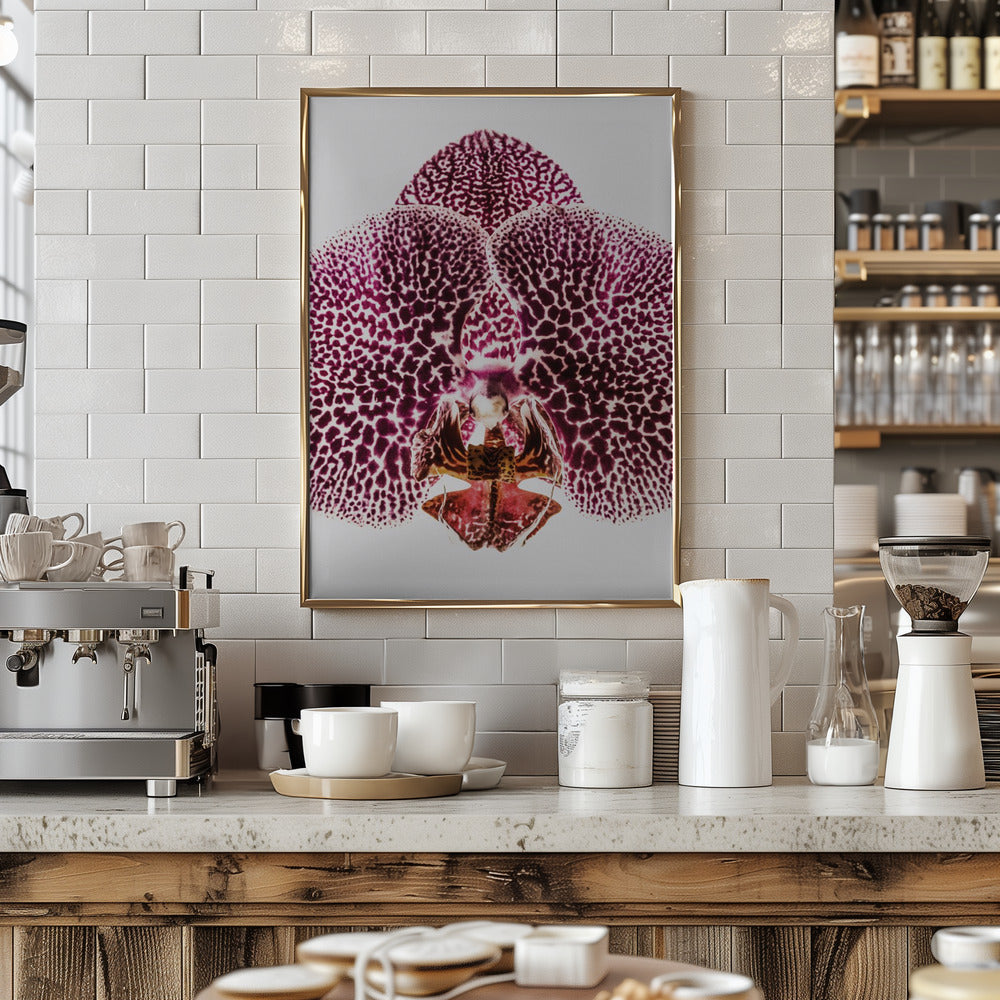 Leopard Orchid Poster