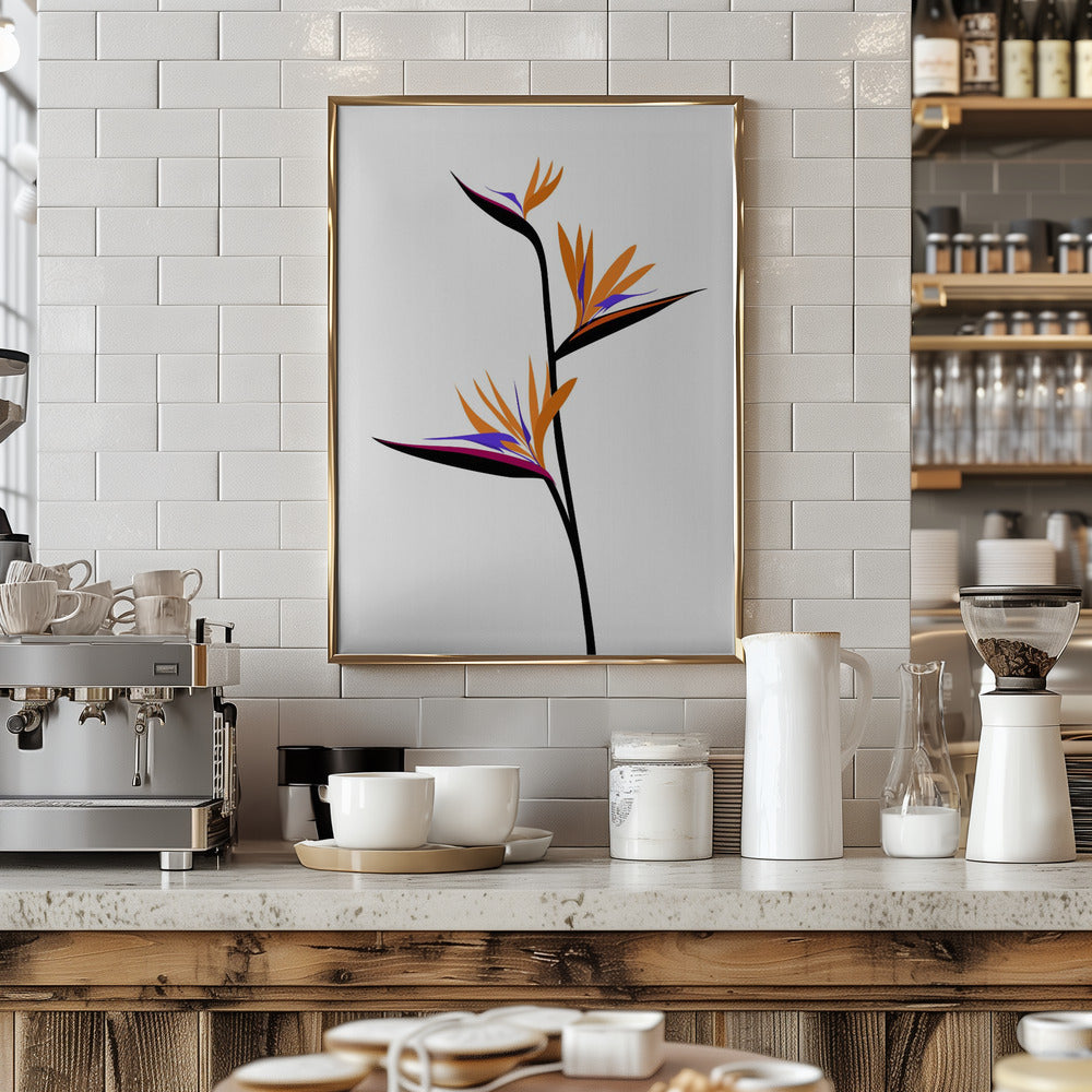 Bird of paradise in black Poster