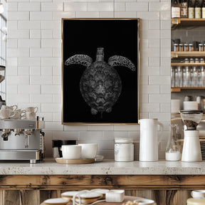 Green turtle on black and white Poster