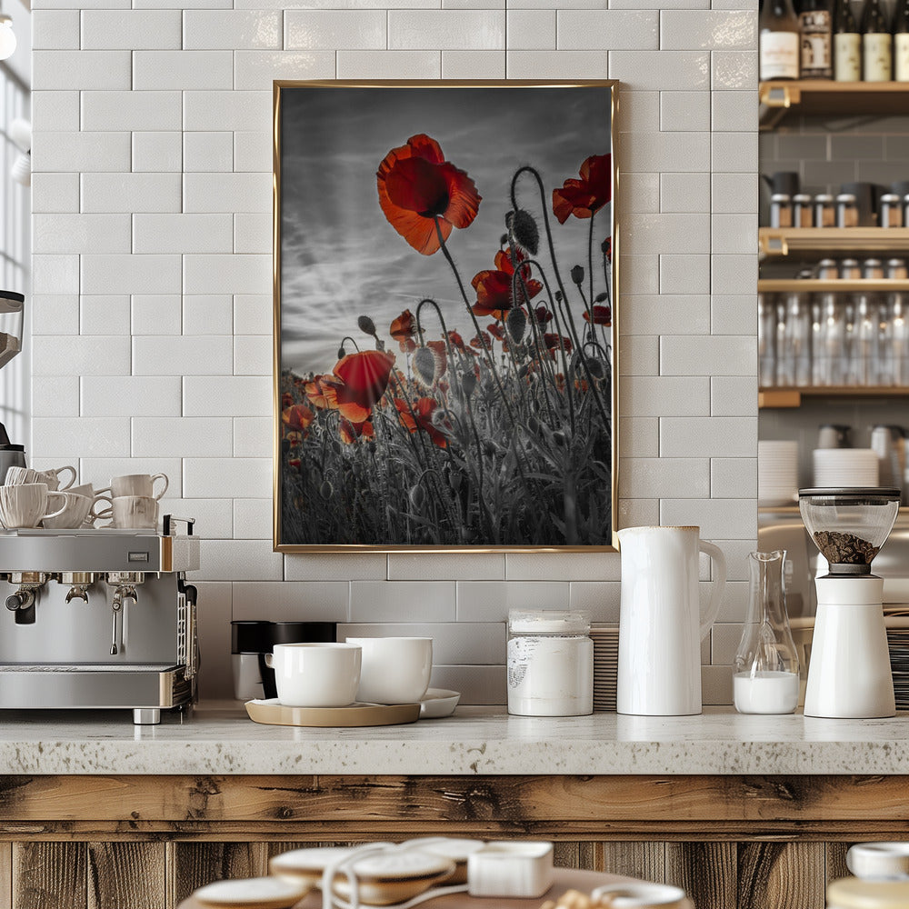 Fascinating poppies | colorkey Poster