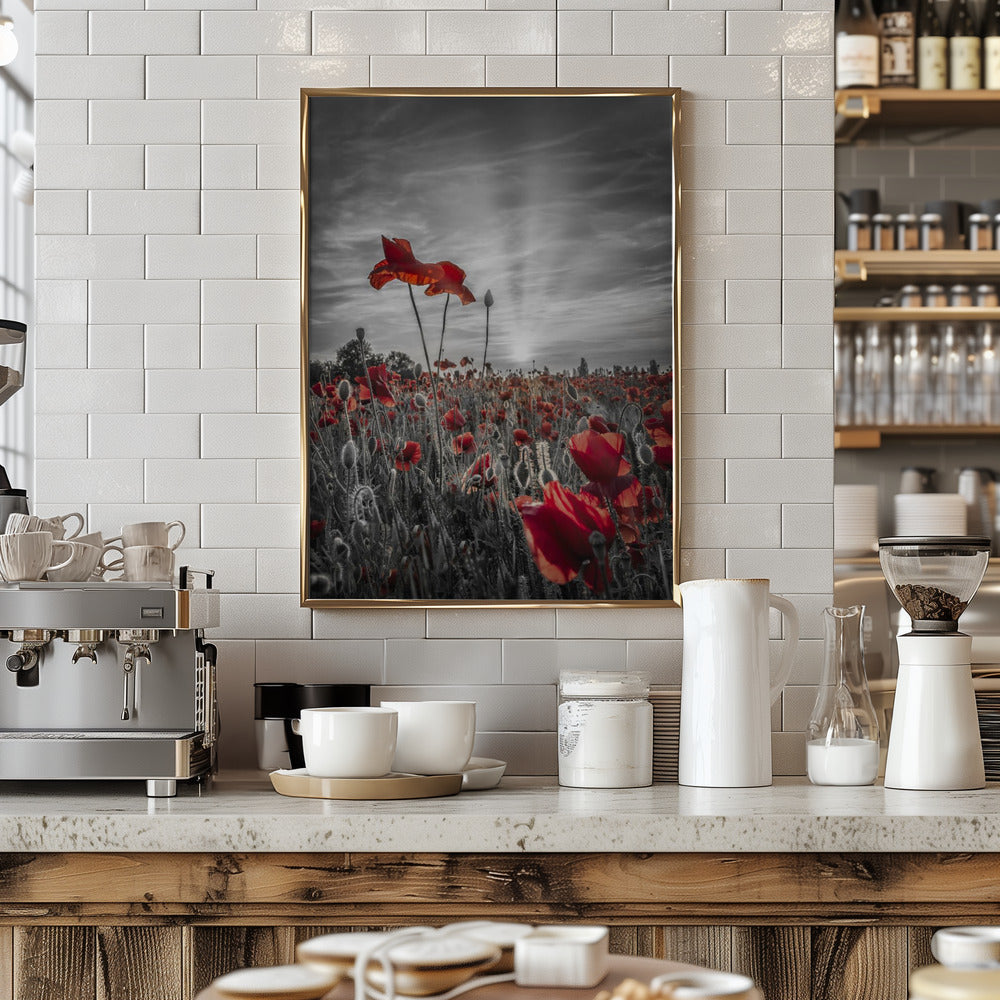 Poppies in sunset | colorkey Poster