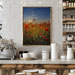 Gorgeous sunset in a poppy field Poster