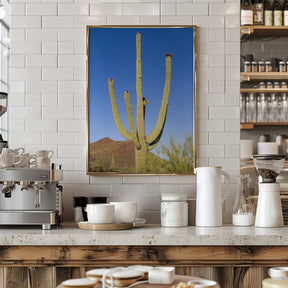 SAGUARO NATIONAL PARK Giant Saguaro Poster