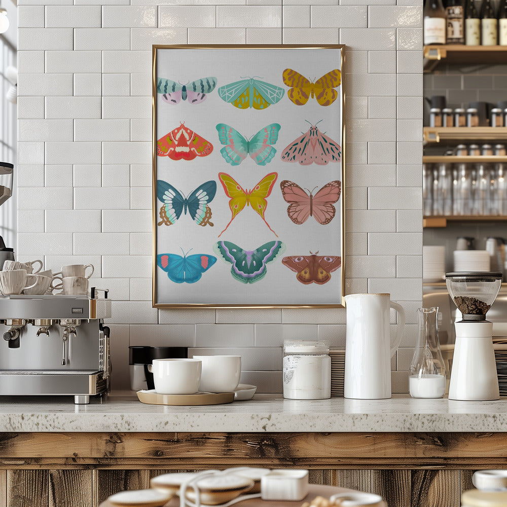 Butterfly Poster