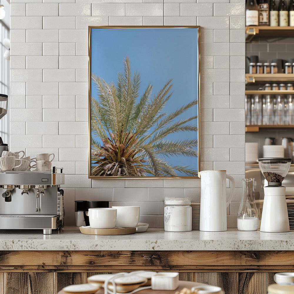 Moroccan Coast Palm Tree Poster