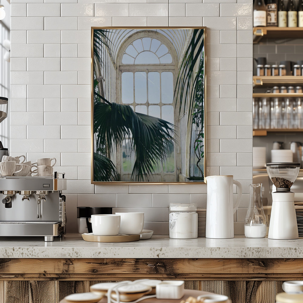 Palm House Windows Poster