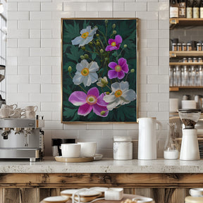 Anemone Flowers Poster