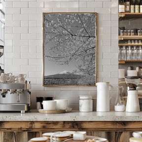 Charming view of Mount Fuji with cherry blossoms - monochrome Poster