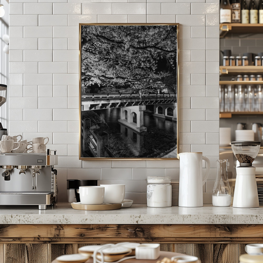 Charming Nakabashi Bridge in the evening - monochrome Poster