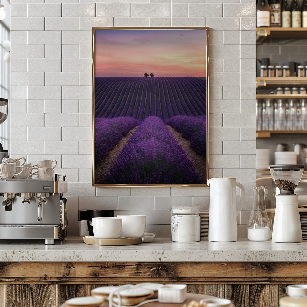 Lavender fild Poster